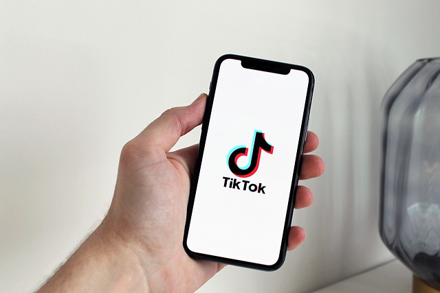 How To Make Money On TikTok Without Going Live