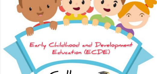 Early Childhood and Development Education (ECDE)