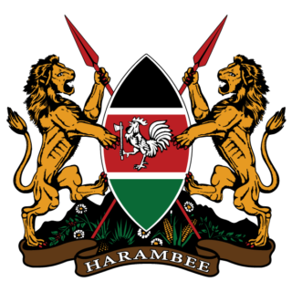 Dual Citizenship Declaration in Kenya