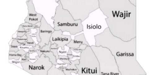 Kenyan Counties Map