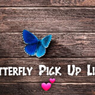 Butterfly pick up lines