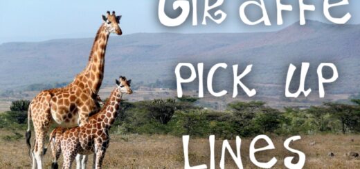 Giraffe pick up lines
