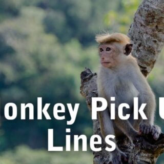 Monkey Pick Up Lines