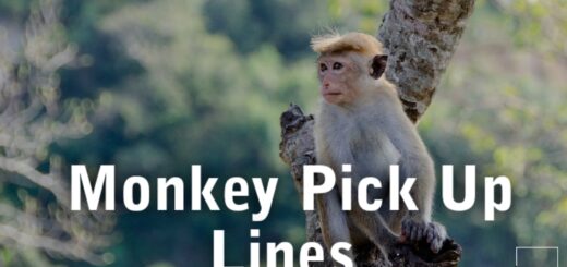Monkey Pick Up Lines