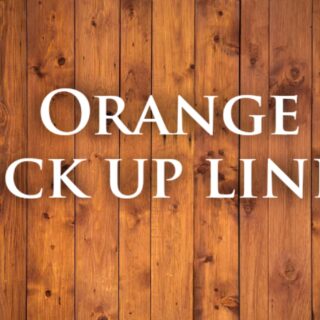 Orange pick up lines