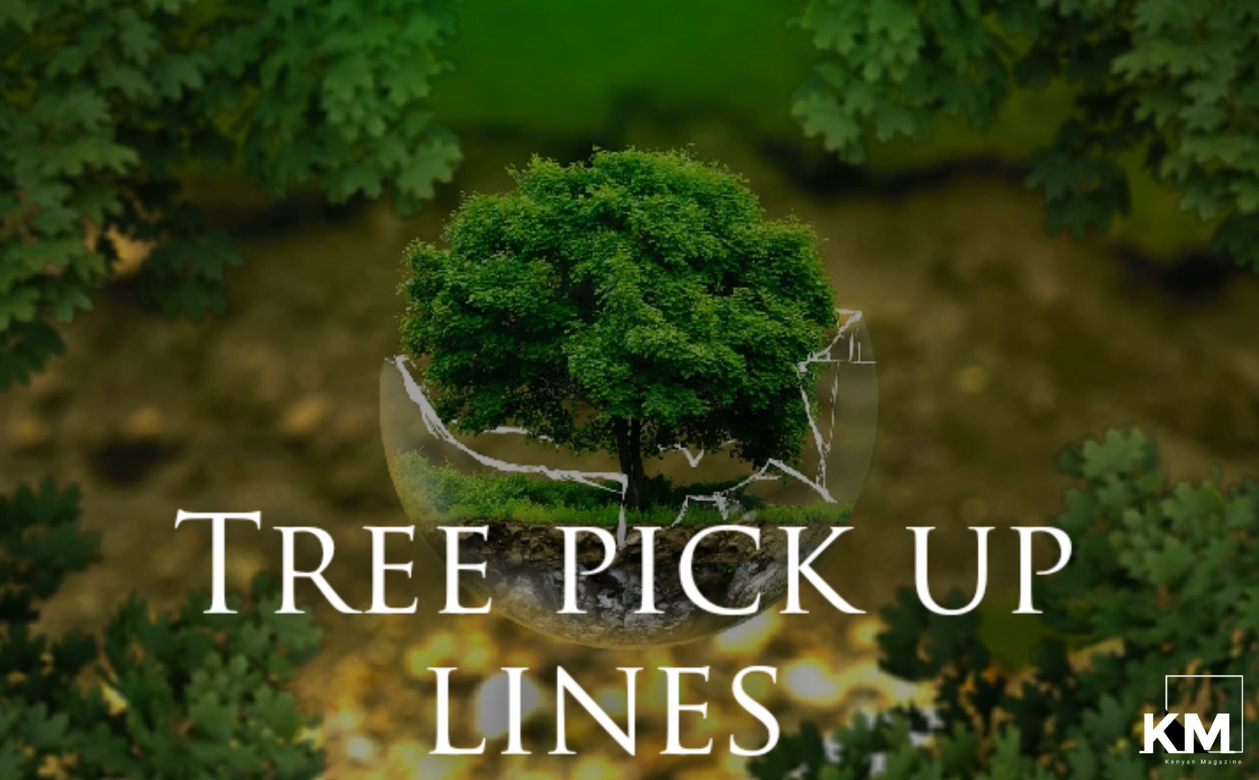25+ Best Tree Pick Up Lines Kenyan Magazine