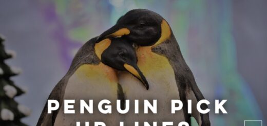 Penguin pick up lines