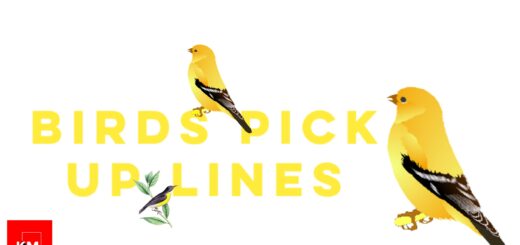 Birds Pick up lines