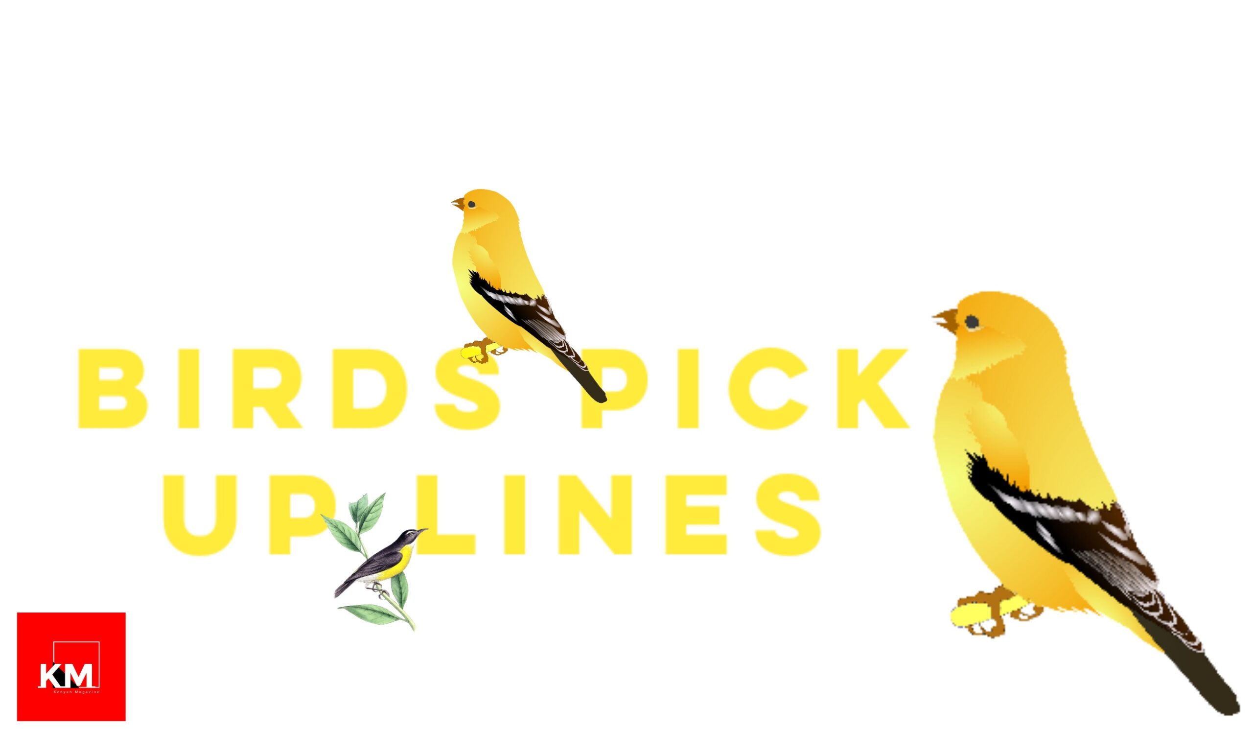 Birds Pick up lines