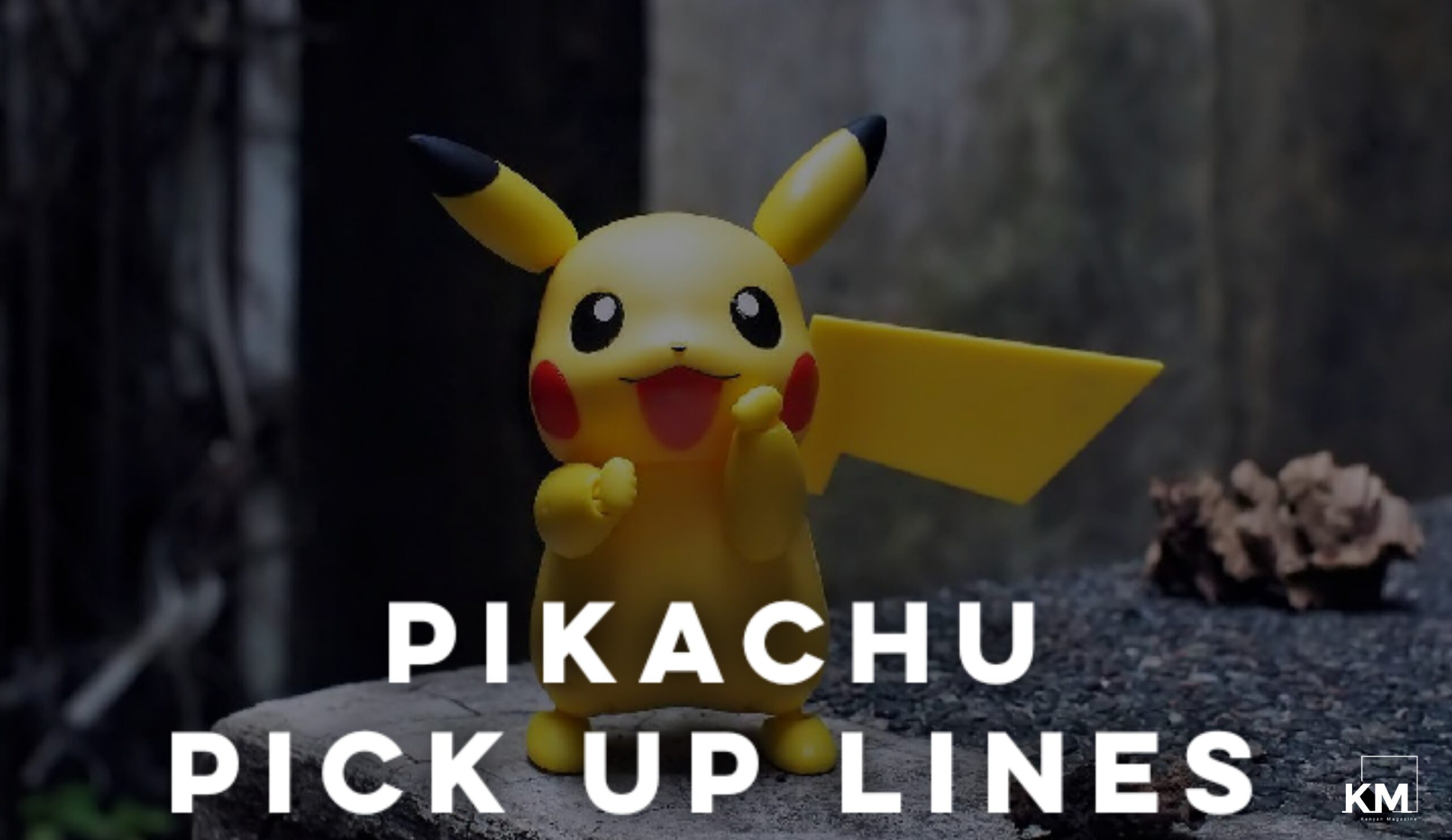 Pikachu Pick up lines