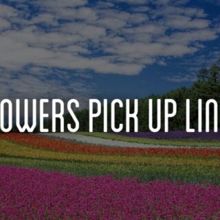 Flowers Pick up lines