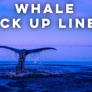 Whale Pick up lines