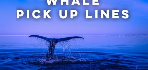 Whale Pick up lines