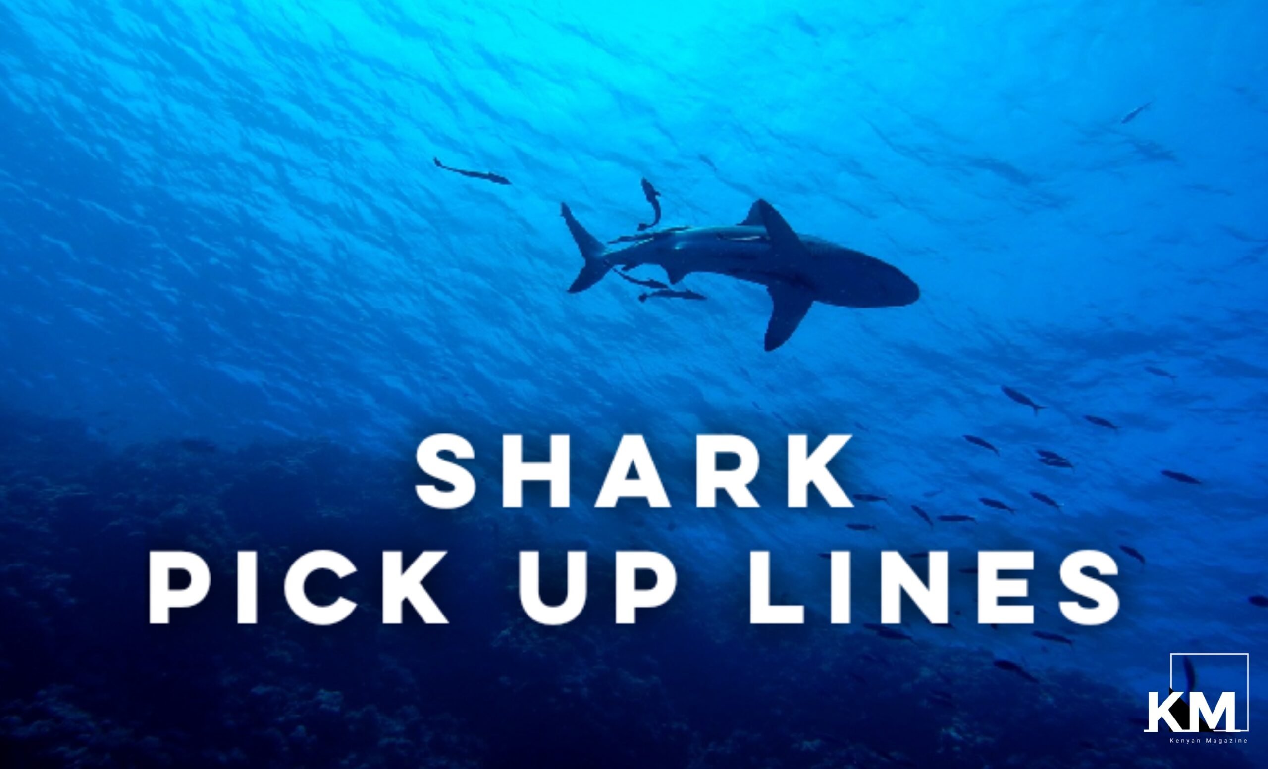 Shark pick up lines