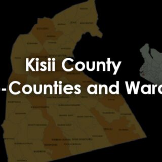 Kisii County Sub-Counties and wards