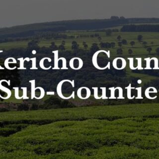 Kericho County Sub-Counties