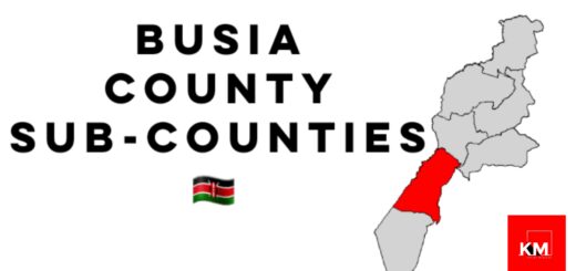 Busia County Sub-Counties