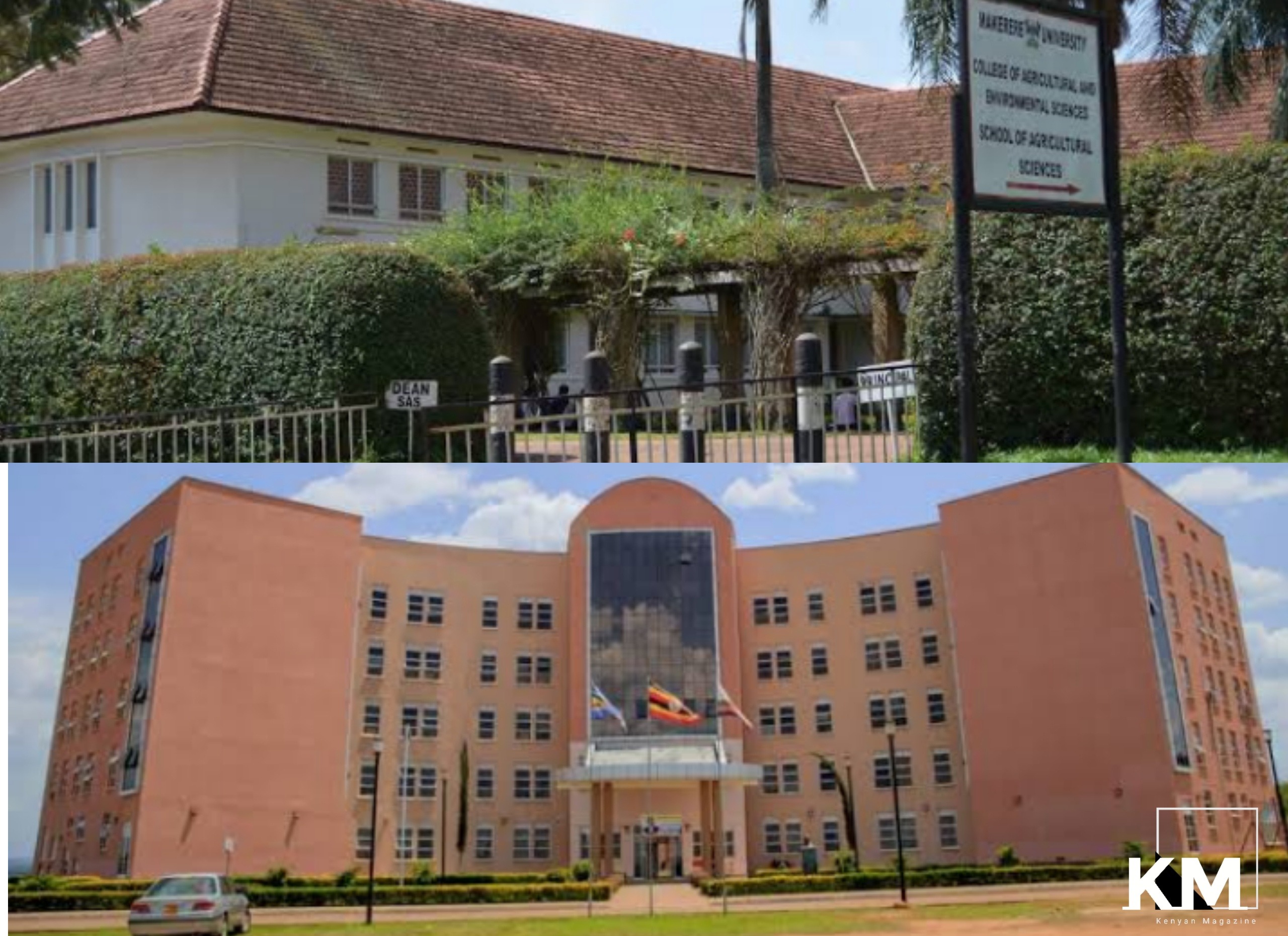 Top 15 Best Institutions Offering Agricultural Courses In Uganda 2022 