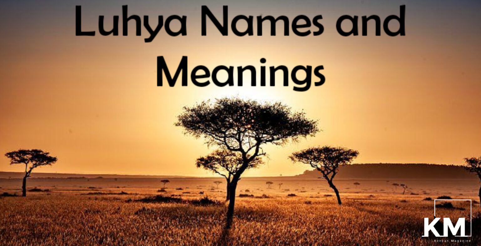 Popular Luhya Words And Their Meanings 2023 Kenyan Magazine
