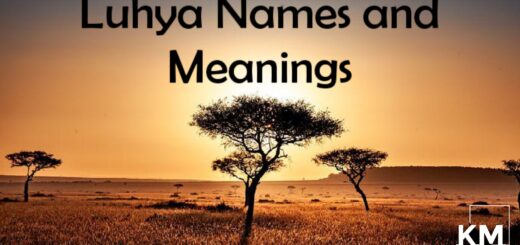 Luhya words and Meanings