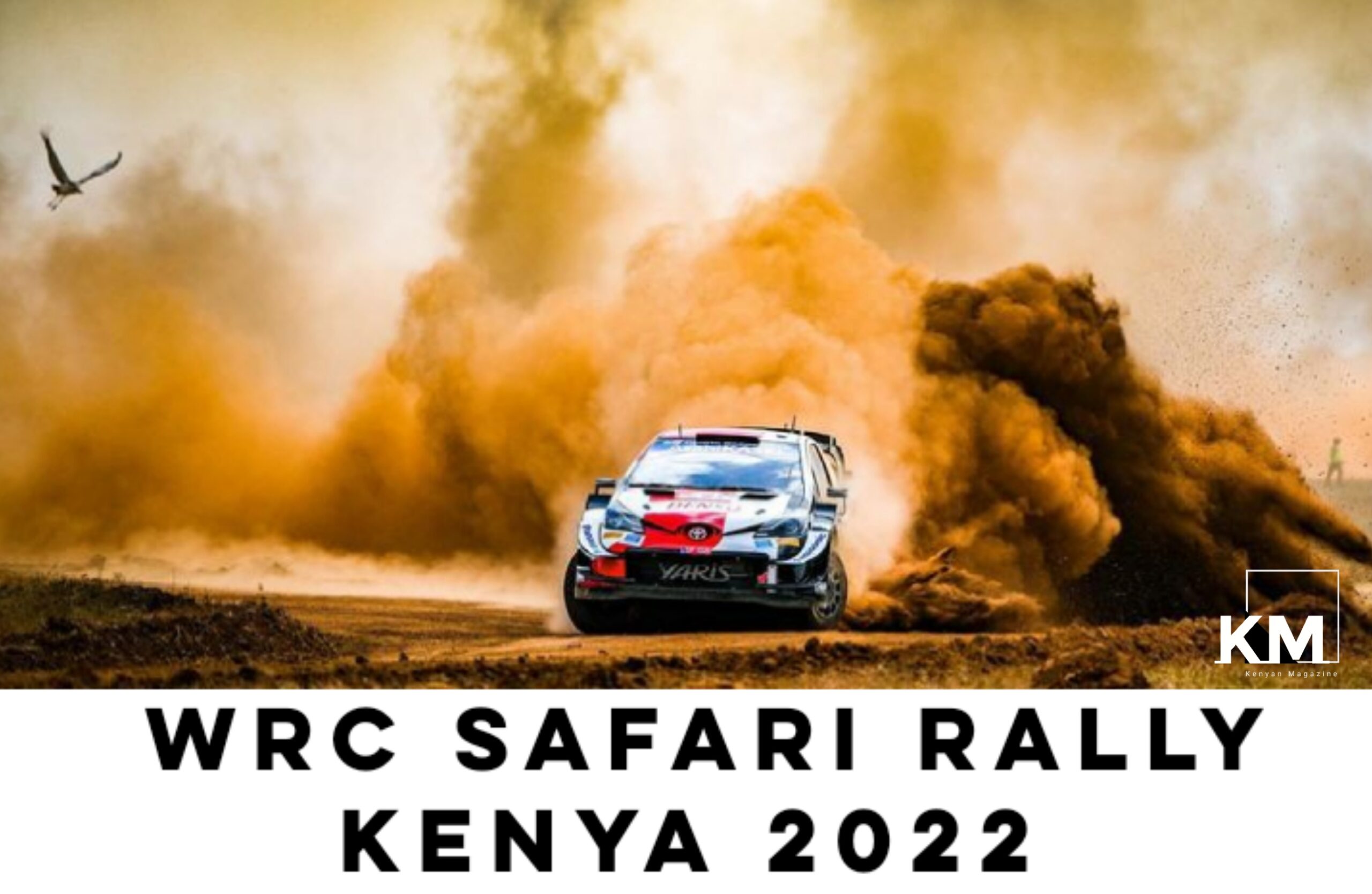 safari rally programme
