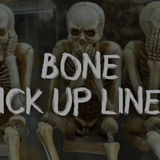 Bone Pick up
