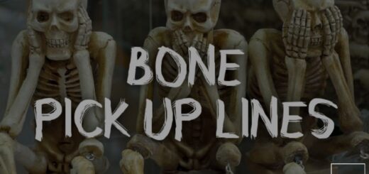 Bone Pick up