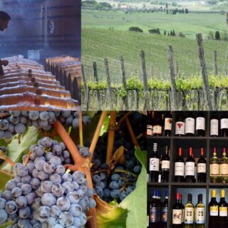 Wine production by state