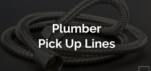 Plumber Pick up lines