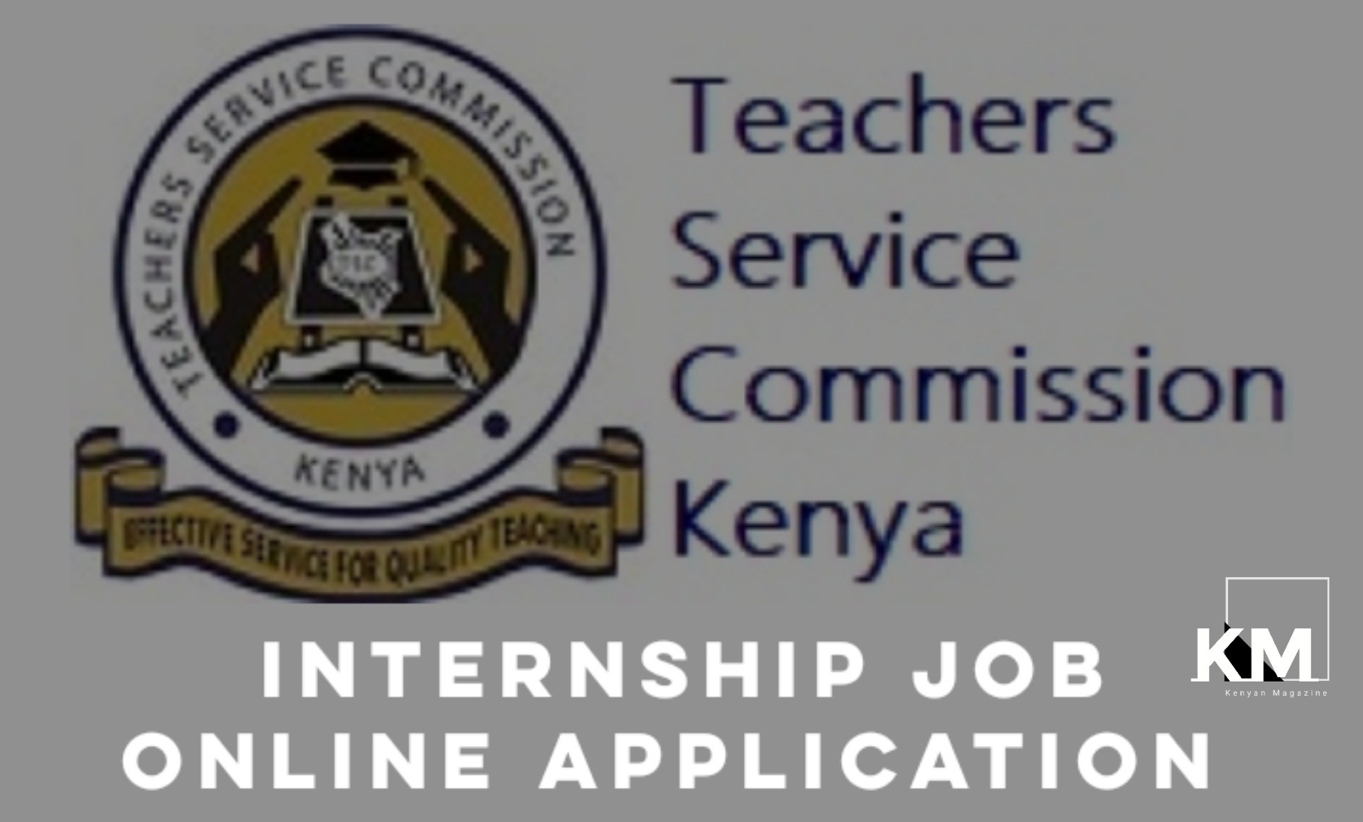 TSC online job internship application