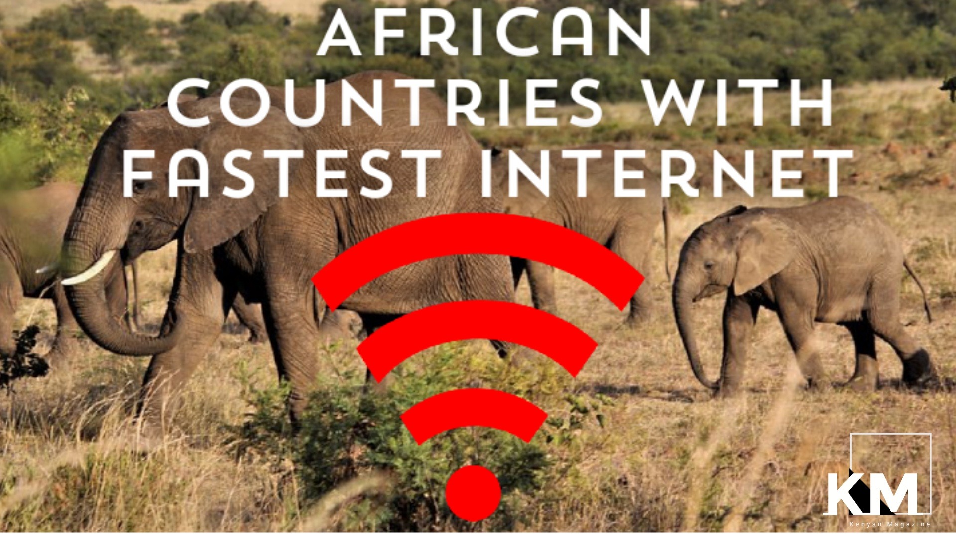Fastest Internet In Africa By country