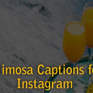 Mimosa Instagram captions