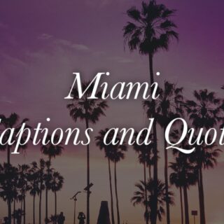Miami Captions and quotes
