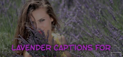 Lavender Captions