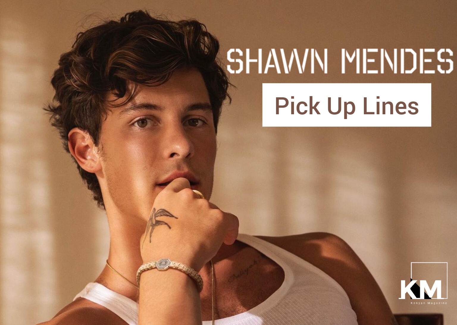 Shawn Mendes Pick up lines