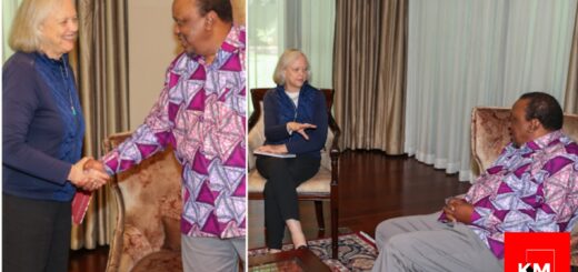 Uhuru meets US Ambassador to Kenya Meg Whitman