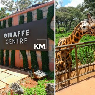 Giraffe Centre Kenya