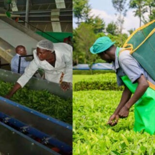 Kenyan tea exporters
