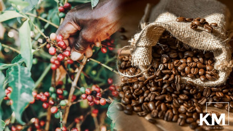 Coffee Exporters in Kenya: List of Companies that Export Kenyan Coffee ...