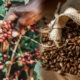 Coffee exporters in Kenya