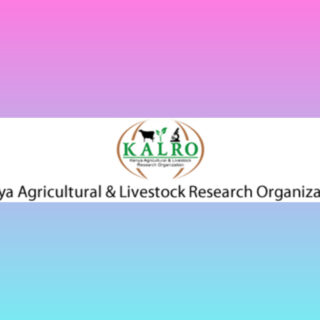 Kenya Agricultural and Livestock Research Organization