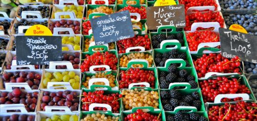 Fruits exporters Kenya